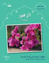 Arabic Small Wonders - Flowers